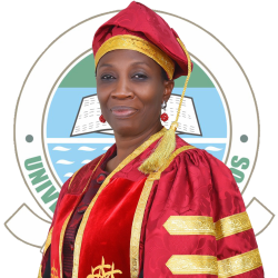 Professor Ayodele Victoria Atsenuwa Deputy Vice-Chancellor (Development Services) dvc-ds@unilag.edu.ng